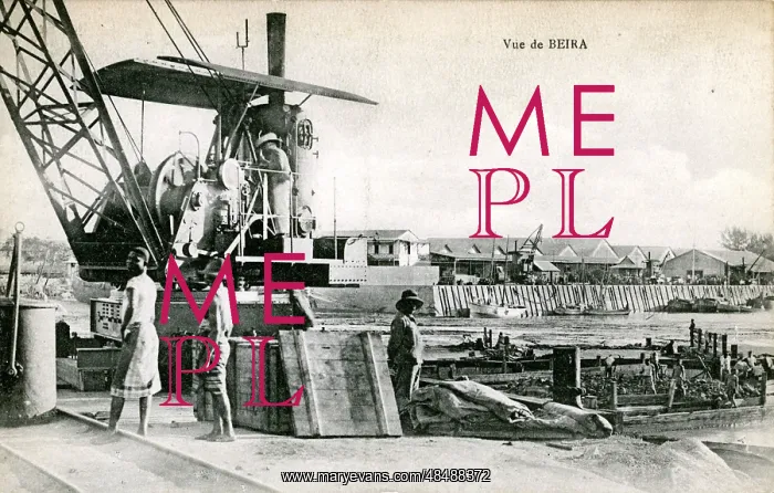  : Steam Crane, Biera