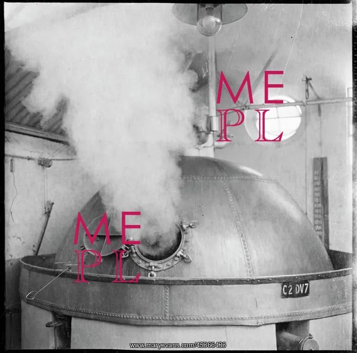 : Steam being emitted from a copper boiling kettle : Steam being emitted from a copper boiling kettle