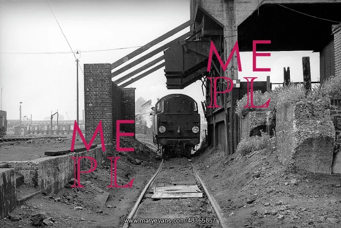 : Steam engine under coaling stage at Nine Elms Loco yard : Steam engine under coaling stage at Nine Elms Loco yard
