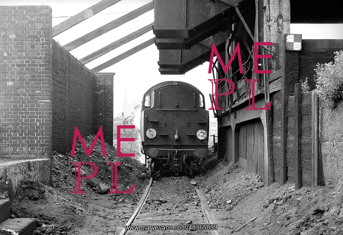 : Steam engine under coaling stage at Nine Elms Loco yard : Steam engine under coaling stage at Nine Elms Loco yard
