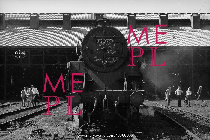 : Steam engine in front of Nine Elms New Shed with onlookers : Steam engine in front of Nine Elms New Shed with onlookers