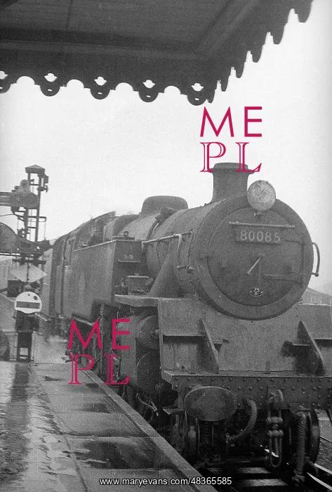 : Steam engine at Redhill Station : Steam engine at Redhill Station