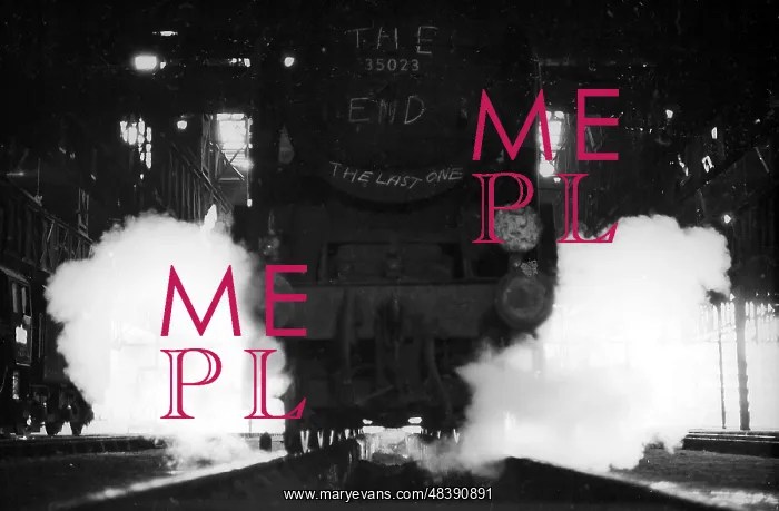 : Steam engine in steam inside Nine Elms New Shed : Steam engine in steam inside Nine Elms New Shed