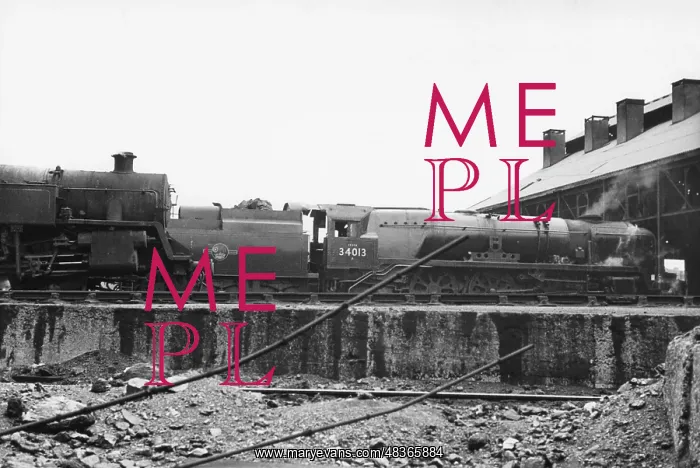 : Two steam engines outside Nine Elms New Shed : Two steam engines outside Nine Elms New Shed