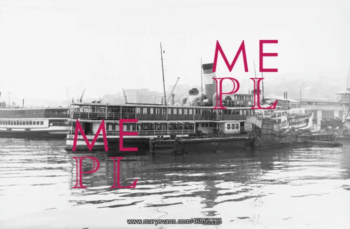: Steam Ferry from the Bosphorus - Halas : Steam Ferry from the Bosphorus - Halas