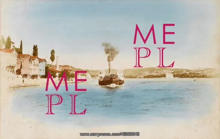 : Steam ferryboat on the Bosphorus : Steam ferryboat on the Bosphorus
