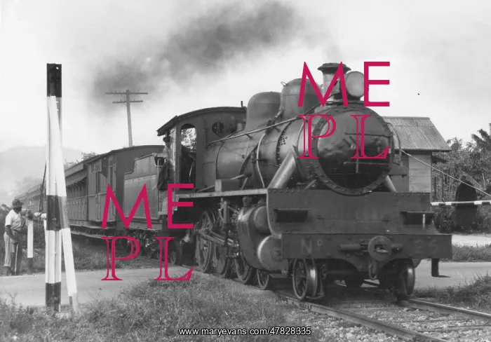 : Steam locomotive No.25 : Steam locomotive No.25