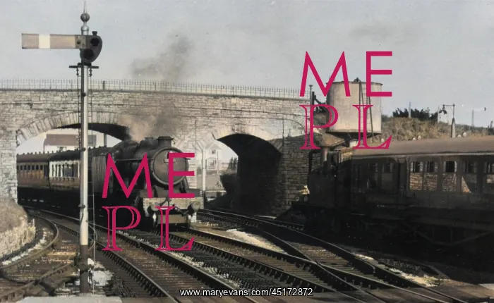  : Steam locomotive passing under a bridge