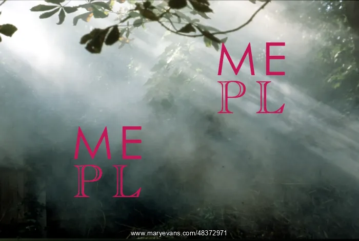  : Steam and mist, Surrey