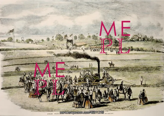  : Steam plough demonstration