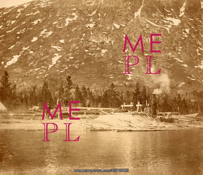 : Steam-powered sawmill on the shore of Lake ? : Steam-powered sawmill on the shore of Lake ?