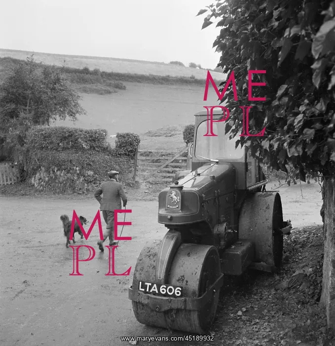 : Steam Roller : Steam Roller