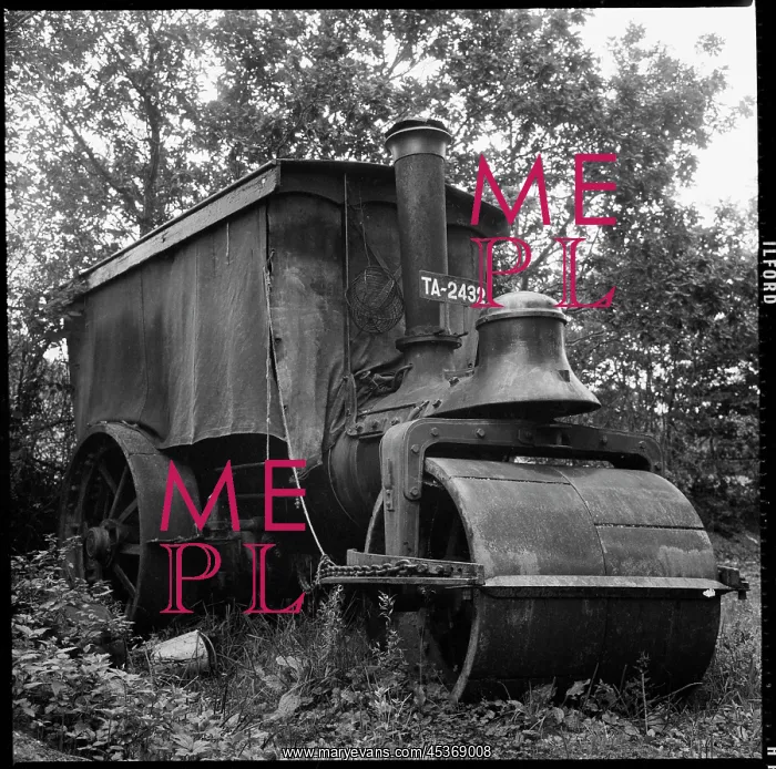 : A steam roller abandoned in the corner of a field. The : A steam roller abandoned in the corner of a field. The