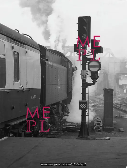 : STEAM TRAIN : STEAM TRAIN