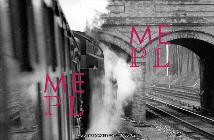 : Steam train going under a brick arched bridge : Steam train going under a brick arched bridge