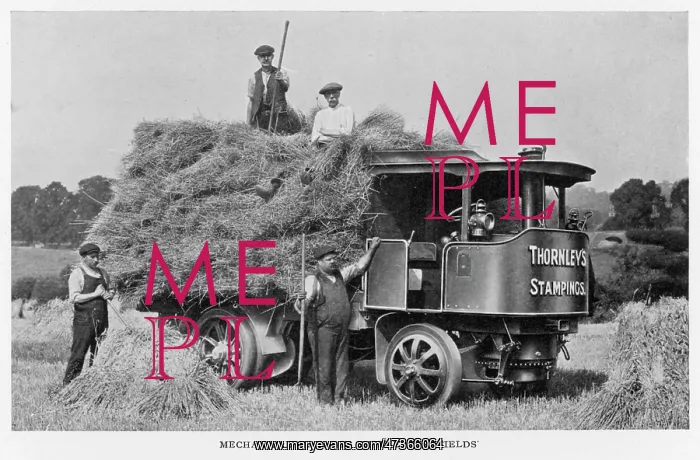 : Steam Wagon on the Farm : Steam Wagon on the Farm