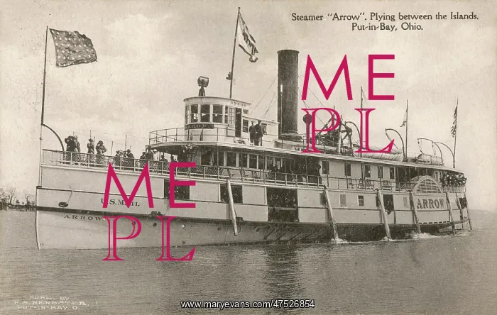  : Steamer Arrow