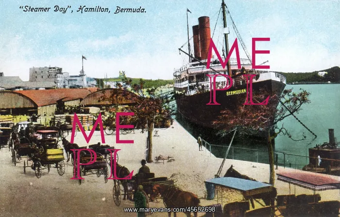 : Steamer Day, Hamilton, Bermuda : Steamer Day, Hamilton, Bermuda