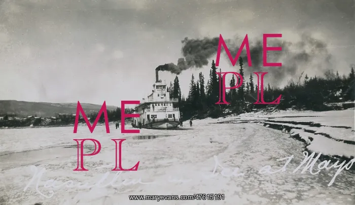 : Steamer in ice, Mayo, Yukon Territory, Canada : Steamer in ice, Mayo, Yukon Territory, Canada
