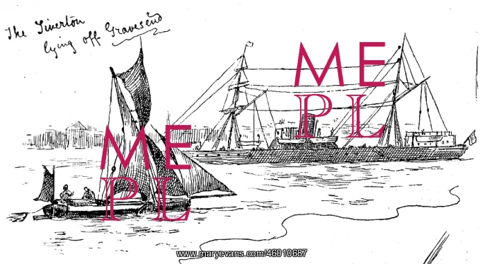 : The Steamer Tiverton off Gravesend, 1884 : The Steamer Tiverton off Gravesend, 1884