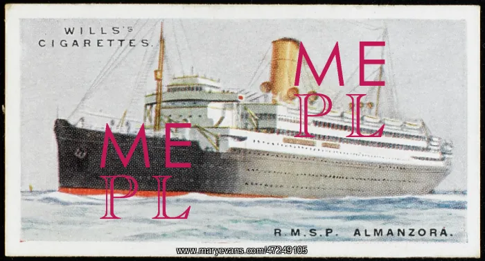: Steamship Almanzora : Steamship Almanzora