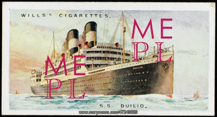 : Steamship Duilio : Steamship Duilio