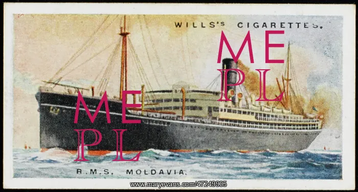 : Steamship Moldavia : Steamship Moldavia