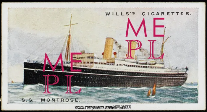 : Steamship Montrose : Steamship Montrose