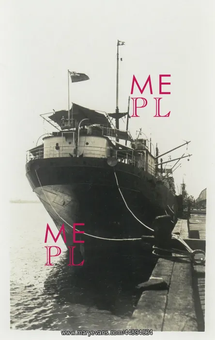 : Steamship moored in a dock : Steamship moored in a dock