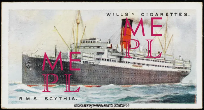 : Steamships - Scythia : Steamships - Scythia