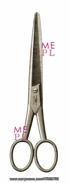  : Steel Barbers Scissors