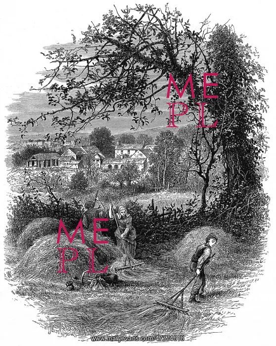  : STEELE'S HOME, WALES