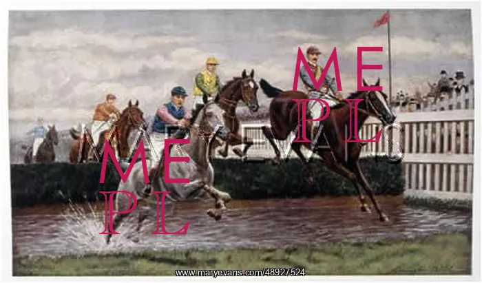 : STEEPLECHASE CIRCA 1900 : STEEPLECHASE CIRCA 1900