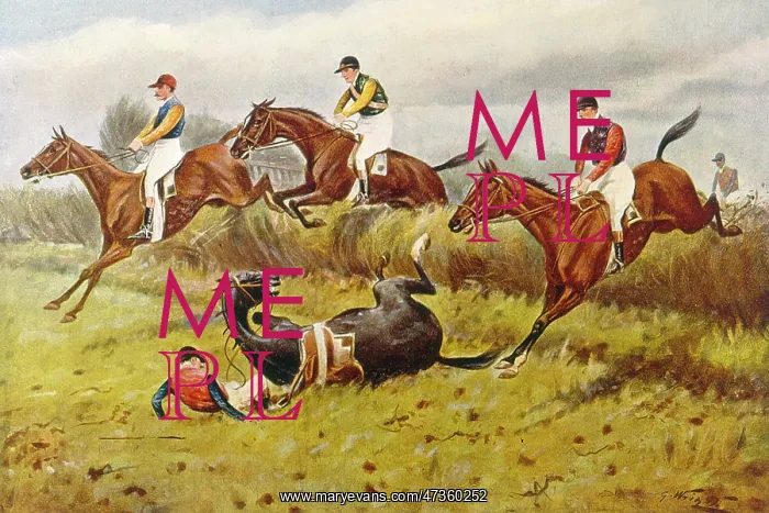 : Steeplechase with Faller : Steeplechase with Faller