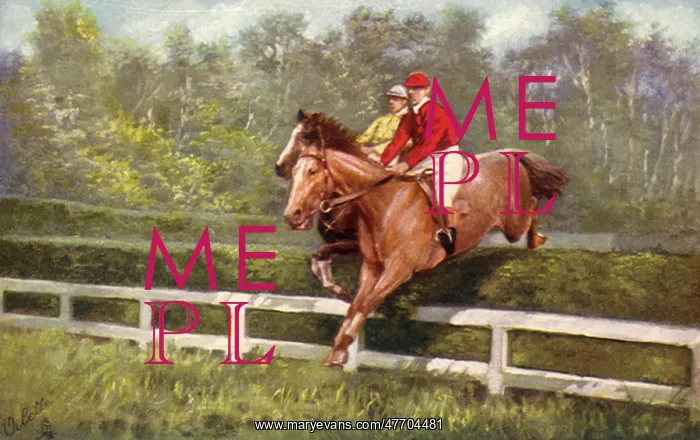  : Steeplechase Jump