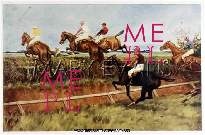 : STEEPLECHASE OPEN DITCH : STEEPLECHASE OPEN DITCH