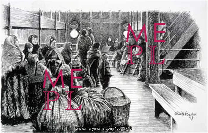 : STEERAGE PASSENGERS / 1891 : STEERAGE PASSENGERS / 1891
