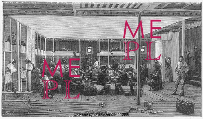  : Steerage Passengers