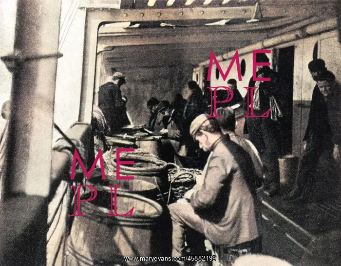 : Steerage passengers, working one's way out : Steerage passengers, working one's way out