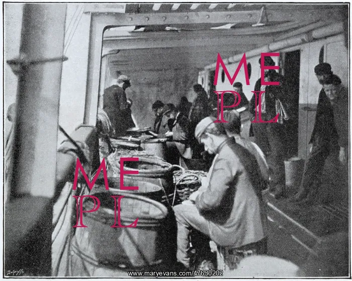 : Steerage passengers, working one's way out : Steerage passengers, working one's way out