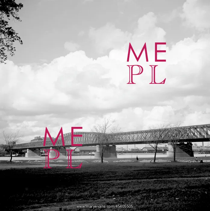  : Stefanik Bridge over the Danube River, Bratislava
