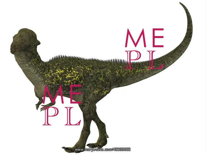: Stegoceras was a herbivorous dinosaur that lived during the : Stegoceras was a herbivorous dinosaur that lived during the