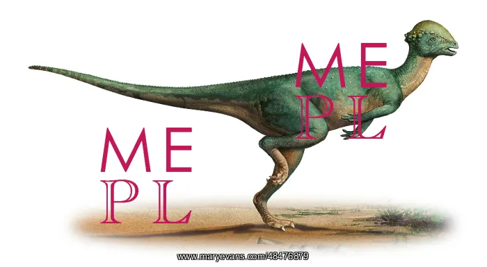 : Stegoceras validus, a prehistoric era dinosaur : Stegoceras validus, a prehistoric era dinosaur