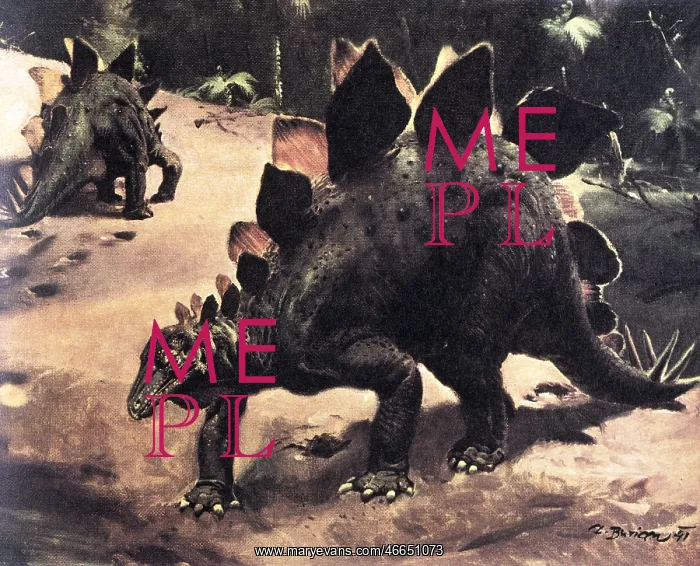 : Stegosaurus : Stegosaurus