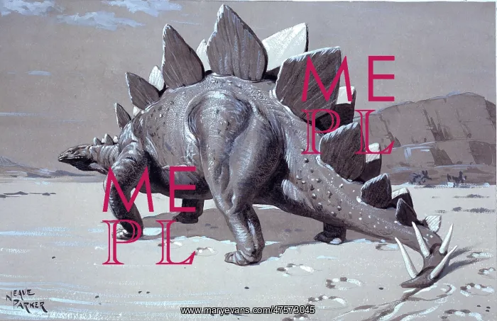 : Stegosaurus : Stegosaurus