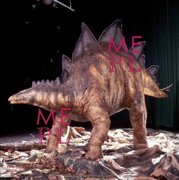  : Stegosaurus