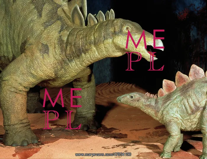 : Stegosaurus : Stegosaurus