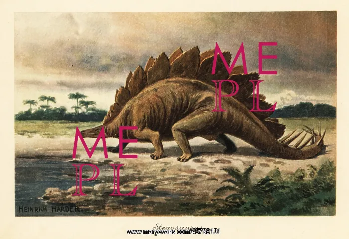 : Stegosaurus armatus of the Late Jurassic : Stegosaurus armatus of the Late Jurassic