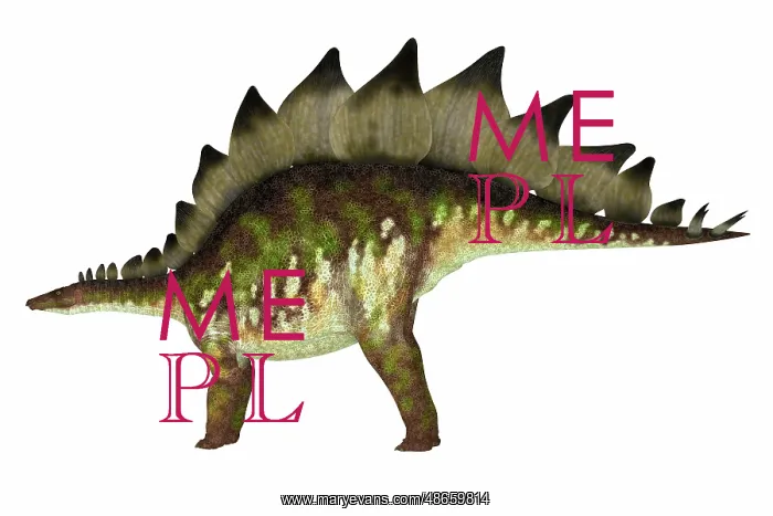 : Stegosaurus armored dinosaur, side view on white background : Stegosaurus armored dinosaur, side view on white background
