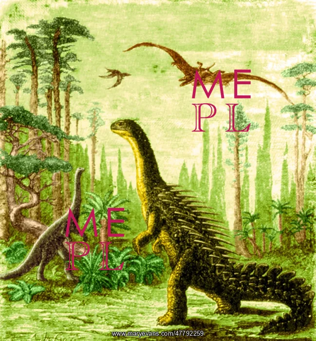 : Stegosaurus and Compsognathus Dinosaurs : Stegosaurus and Compsognathus Dinosaurs